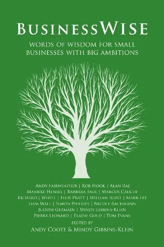 Business Wise book by Mindy Gibbins-Klein - Cover